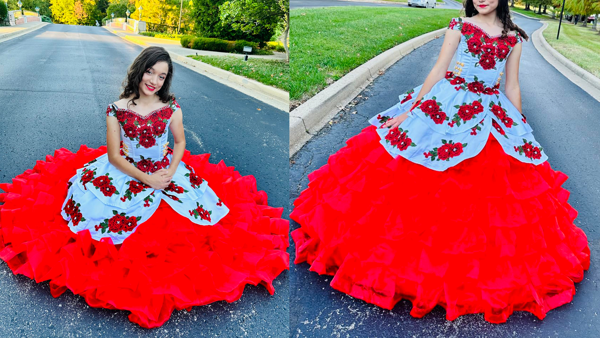 Amazon.com: Beilite Vintage Embroidery 3D Flower Quinceanera